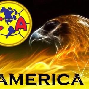 Meet your Posher, Rafael